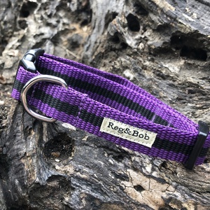 Purple Dog Collar