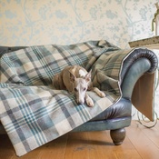 The Lounging Hound - Waterproof Wool Throw - Brunswick