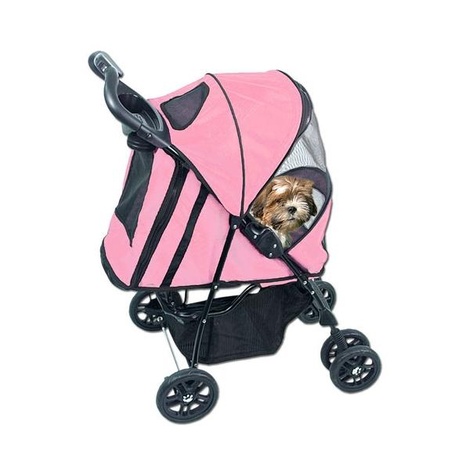 buggy dog