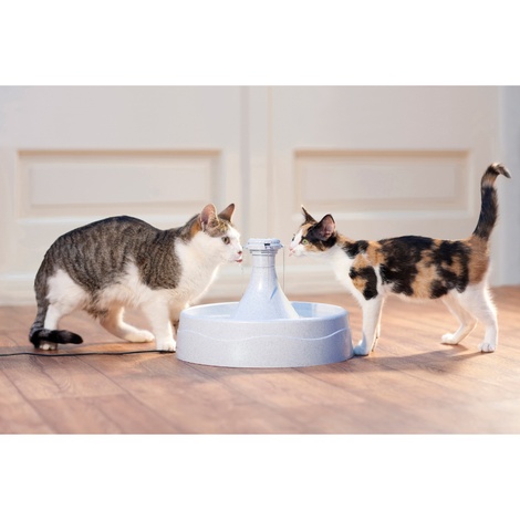 Drinkwell® 360 Plastic Pet Fountain | PetsPyjamas