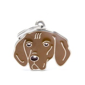 My Family - Vizsla Engraved ID Tag
