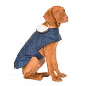 Mutts & Hounds - Navy Quilted Waterproof Dog Coat