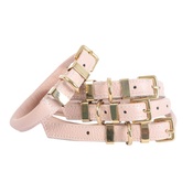 Teddy Maximus - "The Rose" Pink Champagne Dog Collar