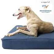 Charley Chau - The GRWE Big Memory Foam Dog Bed - Navy