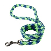 Yellow Dog - Braided Dog Lead – Fluorescent Green & Blue