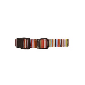 Desert Storm Dog Collar