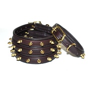 Pear Tannery - Brass Studs Leather Dog Collar - Brown