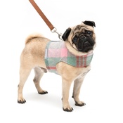 Mutts & Hounds - Macaroon Check Dog Harness