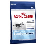 Royal Canin - Maxi Junior Active Dog Food