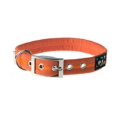 Oscar & Hooch - Clementine Signature Range Dog Collar