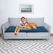 The Lounging Hound - Plush Velvet Sofa Topper - Teal