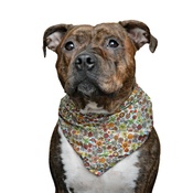 Pet Pooch Boutique - Orphelia Dog Bandana