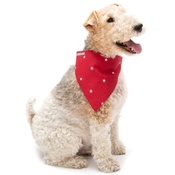 Mutts & Hounds - Cranberry Star Cotton Neckerchief