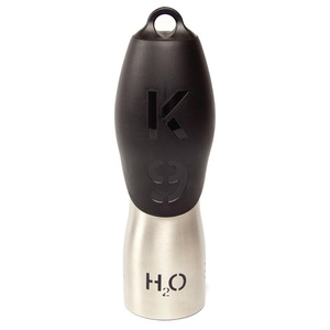 Silver H2O Water Bottle 25oz