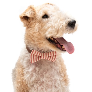 Red Ticking stripe Bow Tie