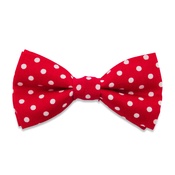 Percy & Co - The York Bow