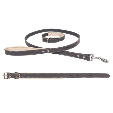 dog collar lead sets