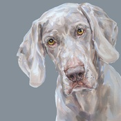 Paint My Dog - Weimaraner Art Print