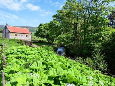 The Dreamer's Hut, North Yorkshire