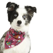 Pet Pooch Boutique - Pink Pow Dog Bandana