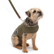 Mutts & Hounds - Forest Green Tweed Harness