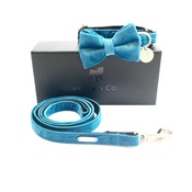 Percy & Co - Collar, Bow Tie and Lead Set - Constantine 