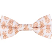 Teddy Maximus - Pineapples Bow Tie