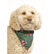 Pet Pooch Boutique - Green Gnomes Dog Bandana