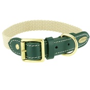 Clementine est. Dogs - Astor Webbing Dog Collar – Green