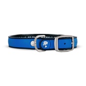Dublin Dog - All Style No Stink Waterproof Dog Collar