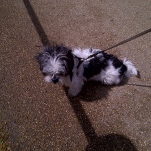 Stanley