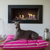 The Lounging Hound - Signature Cotton Dog Bed - Magenta