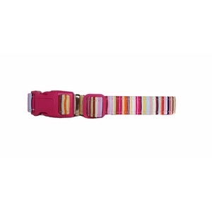 Candy Stripe Dog Collar