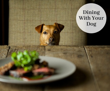 Dining With Your Dog