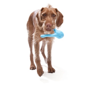 Zogoflex® Tizzi Dog Toy – Aqua Blue
