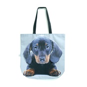 DekumDekum - Dash the Dachshund Dog Bag