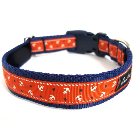 Little Sailors Red on Navy Dog Collar | PetsPyjamas