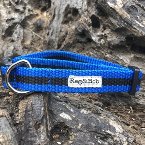 Blue Dog Collar
