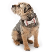 Mutts & Hounds - Nottingham Check Bow Tie