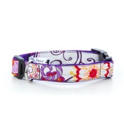 Pet Pooch Boutique - Peachick Dog Collar