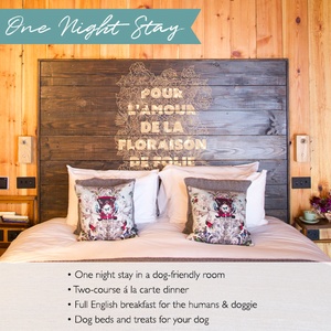Bell in Ticehurst Exclusive Overnight Stay Voucher
