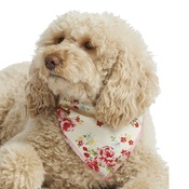 Pet Pooch Boutique - Cream Vintage Primrose Dog Bandana