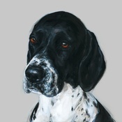 Paint My Dog - Grace English Pointer Art Print