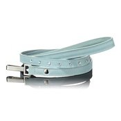 Paws with Opulence - Light Blue Swarovski Lead