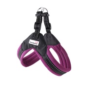 Doodlebone - Boomerang Harness - Purple