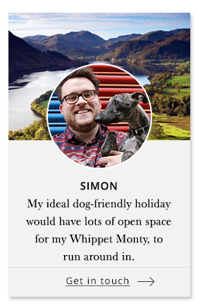 Simon - Pet Concierge