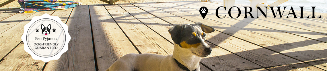 Cornwall Dog-friendly Cottages