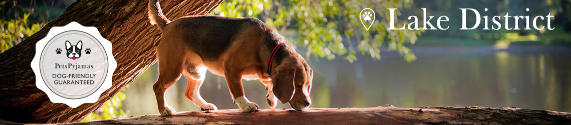 Lake District Dog-friendly Hotels