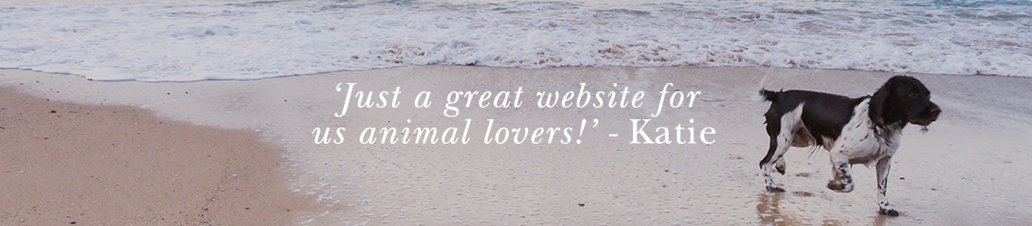 Devon Dog-friendly Cottages