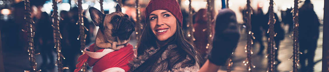 Festive Packages 2017